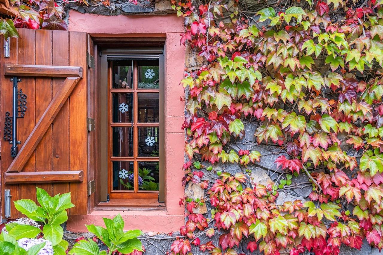 Villa Achada Da Mouca By Madeira Sun Travel ซานตานา ภายนอก รูปภาพ