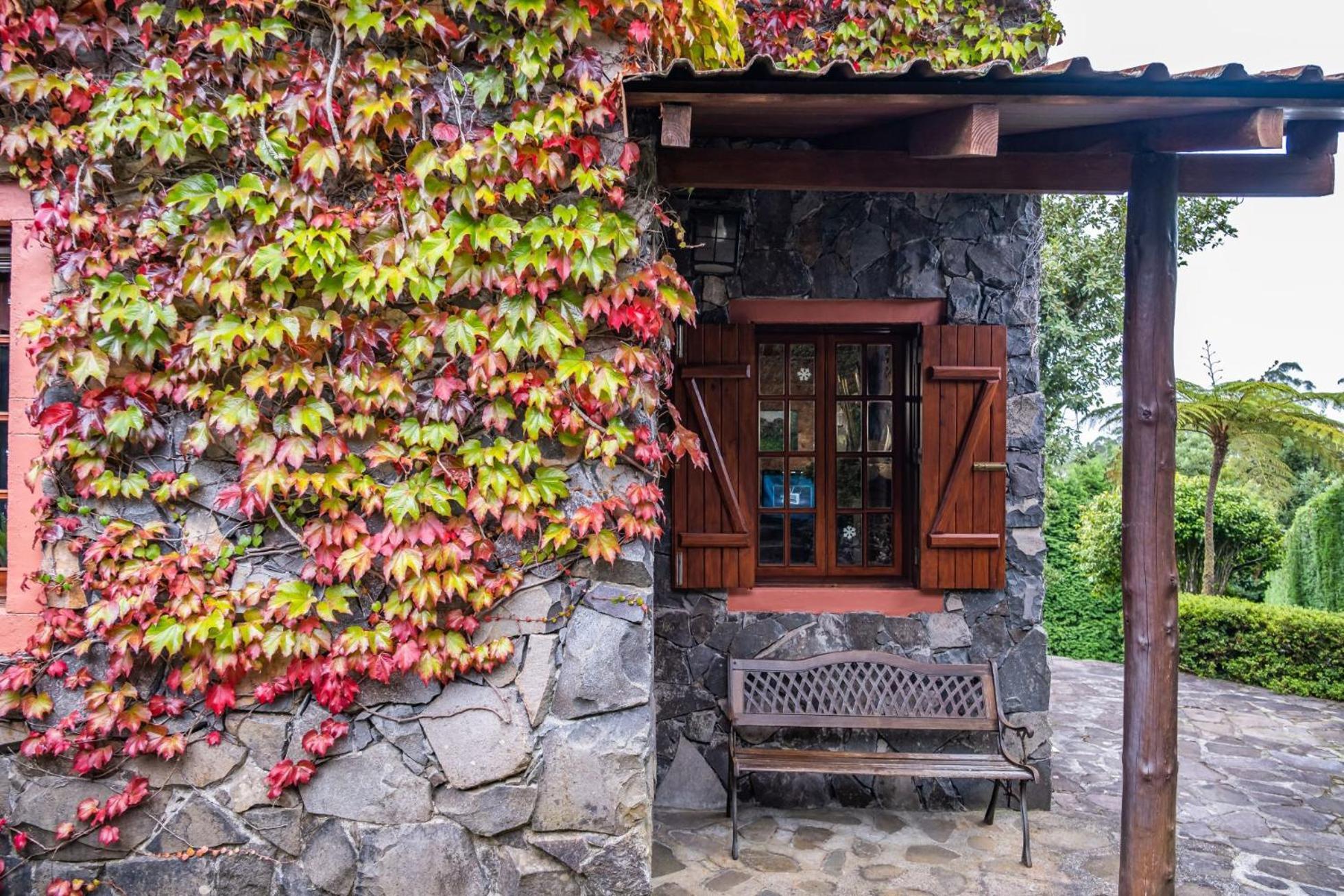 Villa Achada Da Mouca By Madeira Sun Travel ซานตานา ภายนอก รูปภาพ